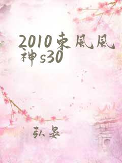 2010东风风神s30