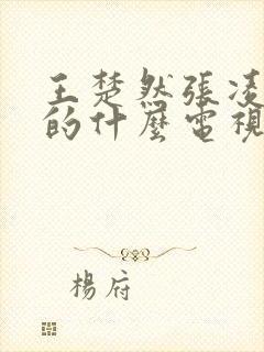 王楚然张凌赫演的什么电视剧