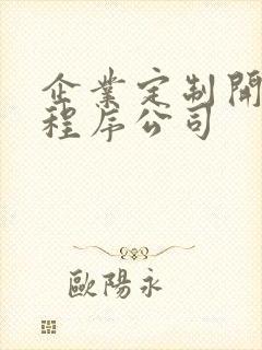 企业定制开发小程序公司