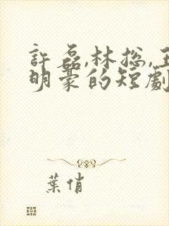 许磊,林总,王明豪的短剧