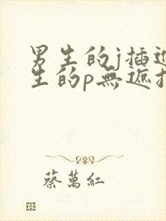 男生的j插进女生的p无遮挡