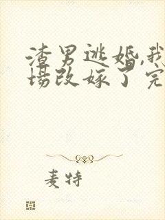 渣男逃婚,我当场改嫁了完本