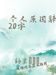 个人原因辞职信20字