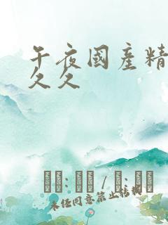 午夜国产精品久久久