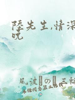 陆先生,情深未晚