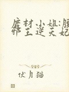 废材小姐:腹黑邪王逆天妃 叶轻轻