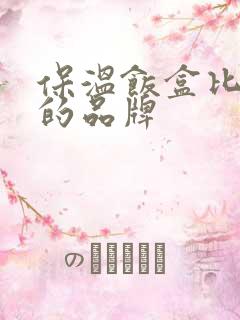 保温饭盒比较好的品牌