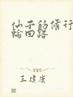 仙子的修行续4轮回路