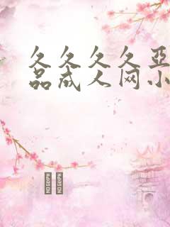 久久久久亚洲精品成人网小说