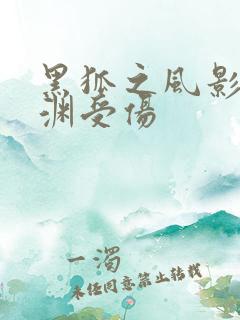 黑狐之风影王文渊受伤