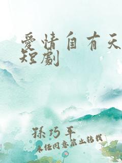爱情自有天意 短剧