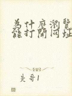 为什么浏览器不能打开网址