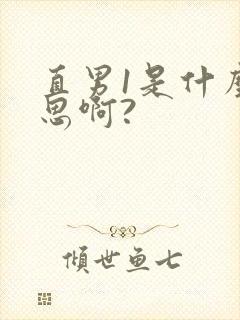 直男1是什么意思啊?