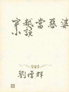 穿越当恶婆婆的小说