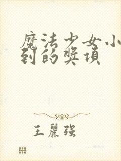 魔法少女小圆得到的奖项