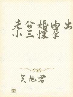 老公婚内出轨致小三怀孕