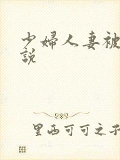 少妇人妻被弄小说