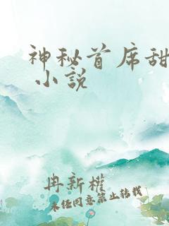 神秘首席甜宠妻 小说