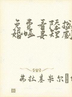 免费看陆总的新婚哑妻短剧