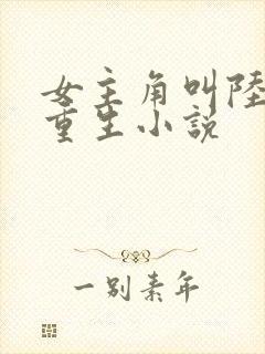 女主角叫陆晚的重生小说