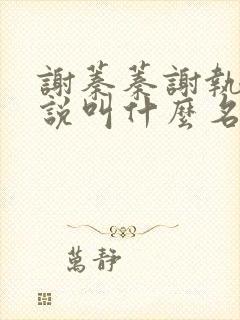 谢蓁蓁谢执野小说叫什么名字