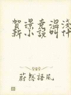 贺璟尧温浅的最新小说叫什么名字