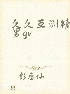 久久亚洲精品男男gv