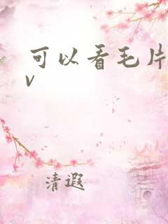 可以看毛片的av