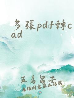 多张pdf转cad