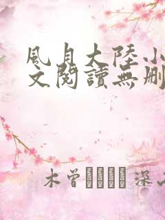 风月大陆小说全文阅读无删减