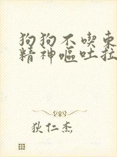 狗狗不吃东西没精神呕吐拉稀