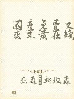 国产免费又色又爽又黄在线观看