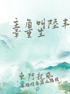 主角叫陆丰第一章重生