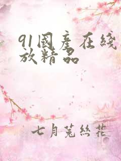 91国产在线播放精品