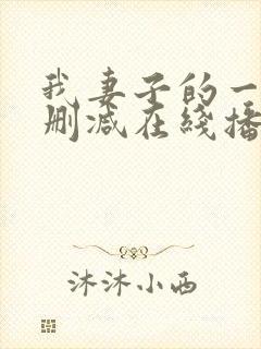 我妻子的一切未删减在线播放