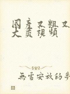 国产又粗又猛又大爽视频