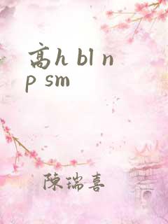 高h bl np sm