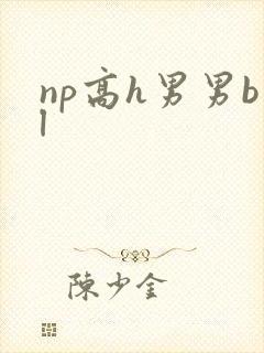 np高h男男bl