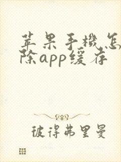 苹果手机怎么清除app缓存