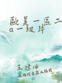 欧美一区二区aa一级片