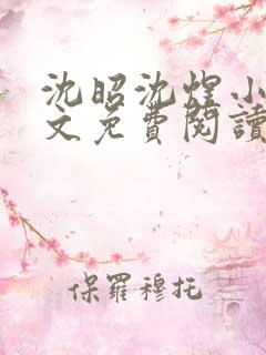 沈昭沈煜小说全文免费阅读