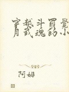 穿越斗罗觉醒日月武魂的小说