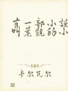 有一部小说主角叫叶观的小说