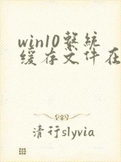 win10系统缓存文件在哪个文件夹