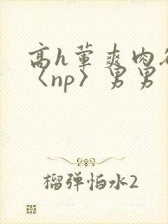 高h荤爽肉欲文〈np〉男男