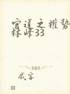 官道之权势滔天林峰33