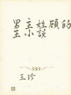 男主姓顾的双男主小说