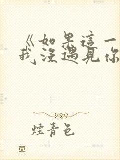 《如果这一秒,我没遇见你》小说