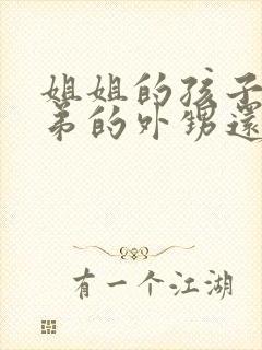 姐姐的孩子是弟弟的外甥还是侄子