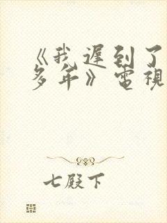 《我迟到了那么多年》电视剧